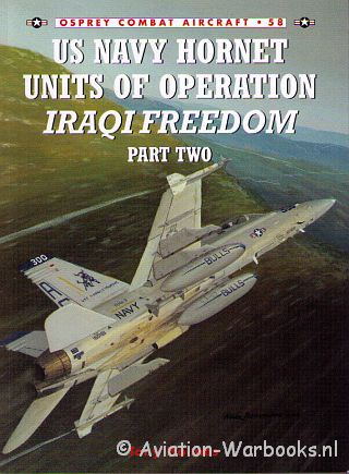US Navy Hornet Units of Operation Iraqi Freedom (Part 2)