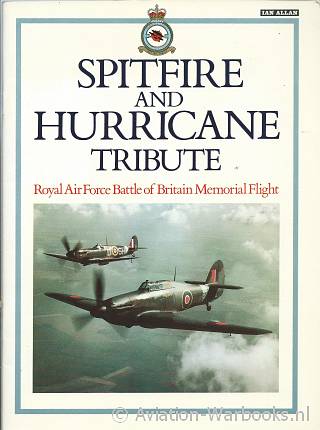 Spitfire and Hurricane Tribute