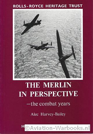 The Merlin in perspective