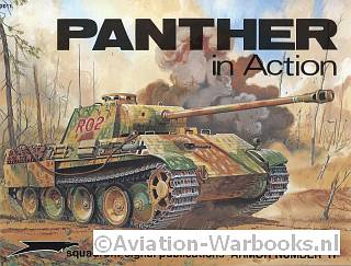 Panther in Action