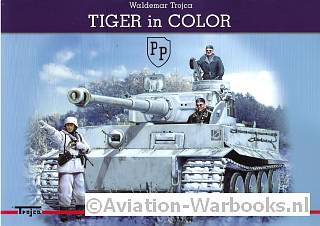 Tiger in Color