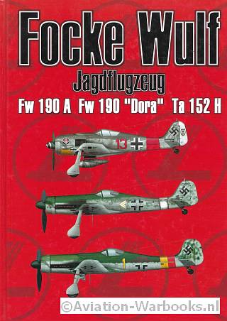 Focke-Wulf Jagdflugzeug